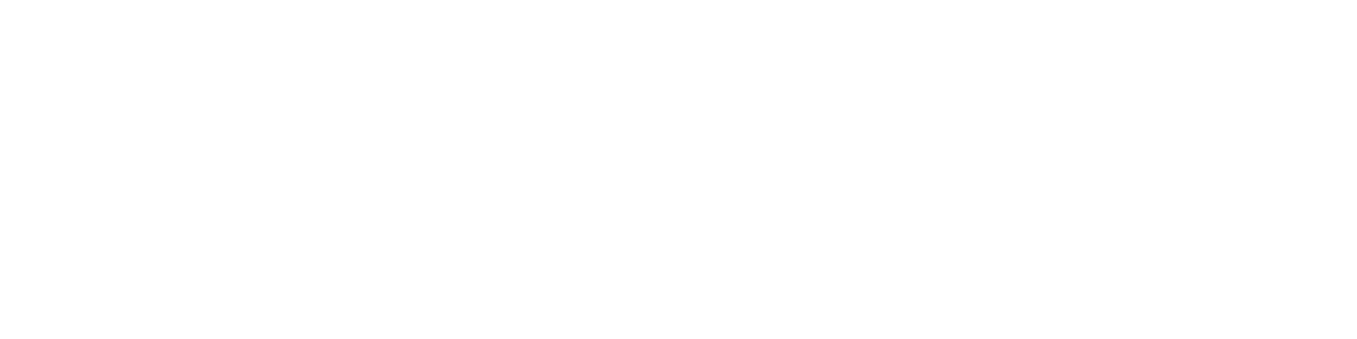 Logo blanc rc-fermelec